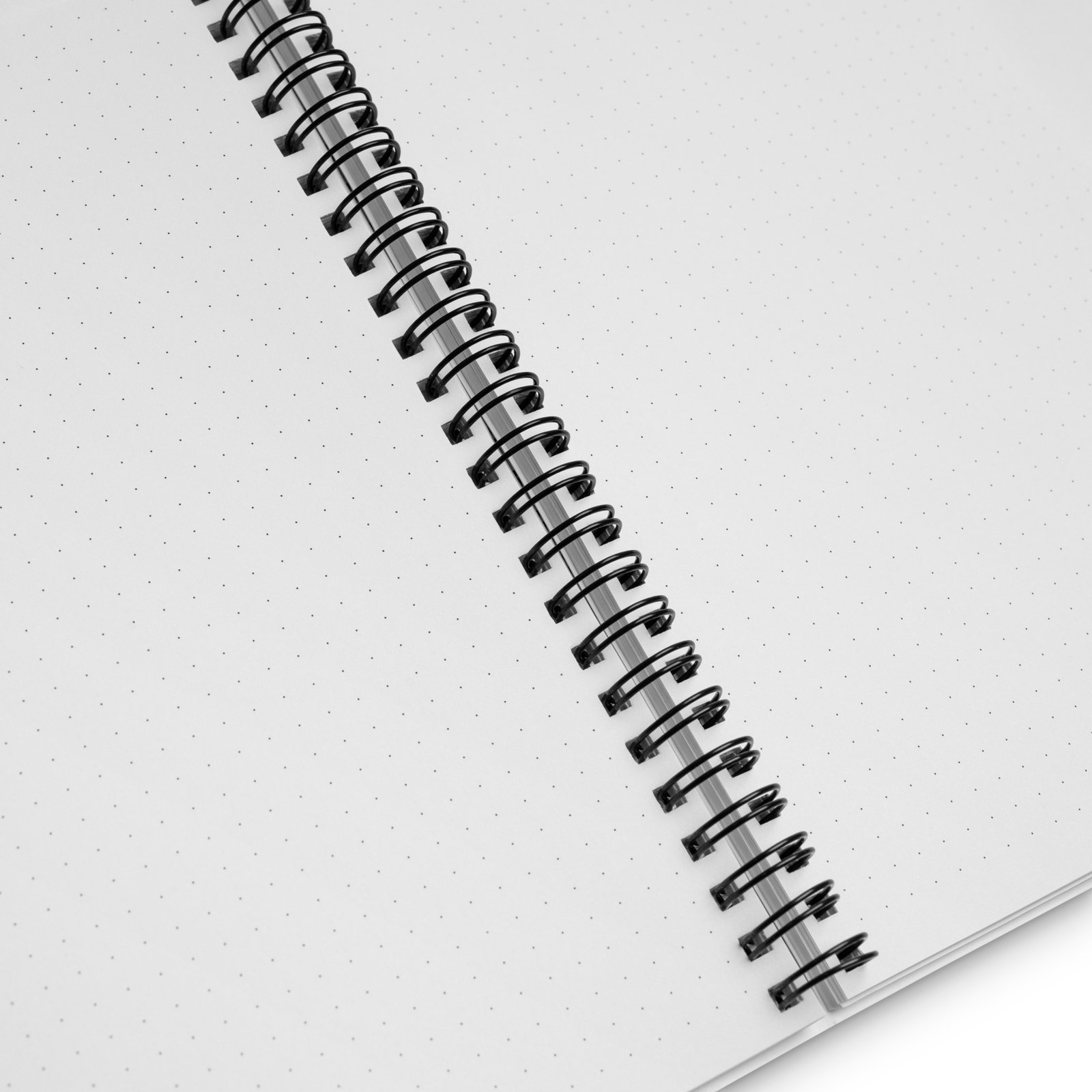 World's Largest Vegan Dinosaur Spiral notebook - Image 3